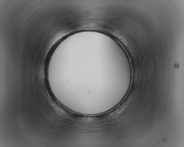 X0000097891458200804041259