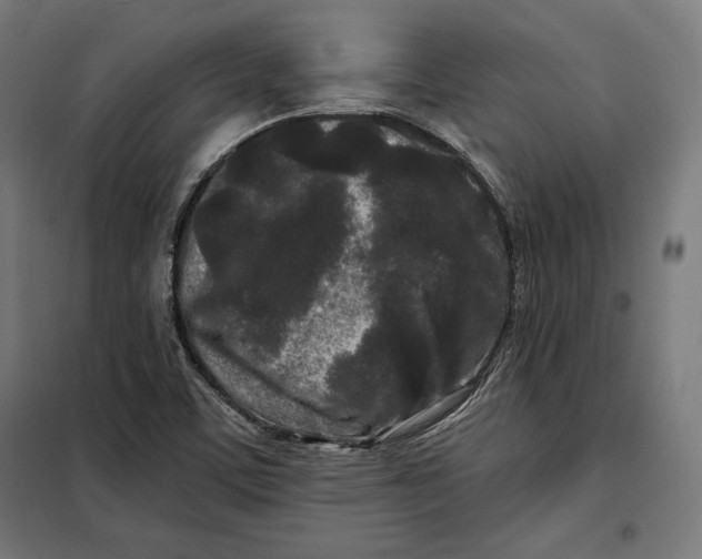 X0000097891459200804041259