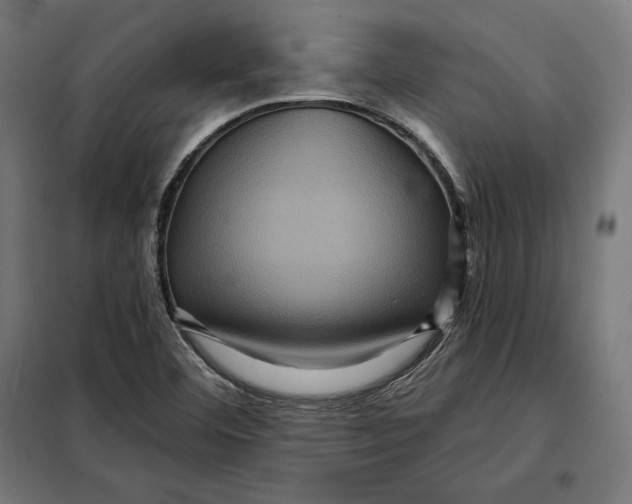 X0000097891460200804041259