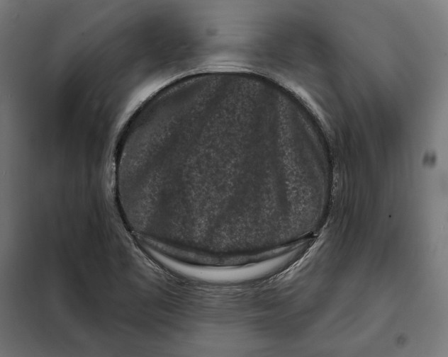 X0000097891461200804041259