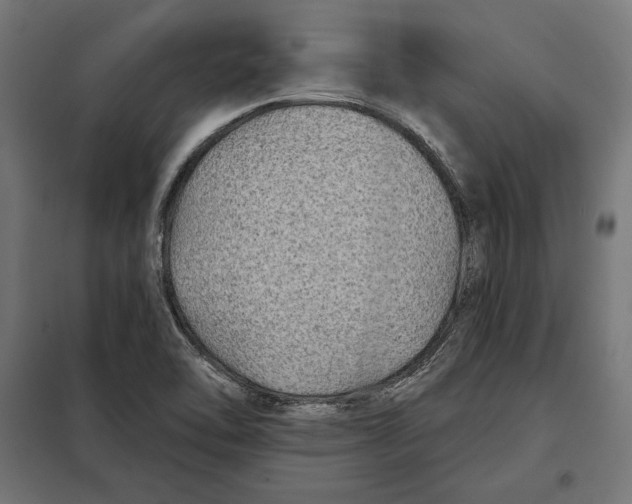 X0000097891462200804041259