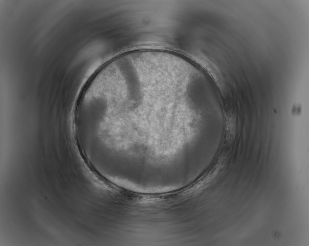 X0000097891466200804041259