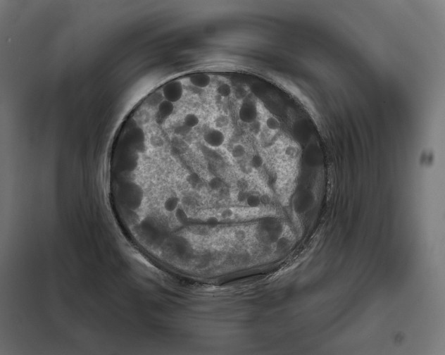 X0000097891467200804041259