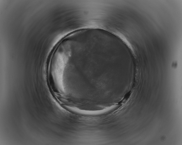 X0000097891468200804041259