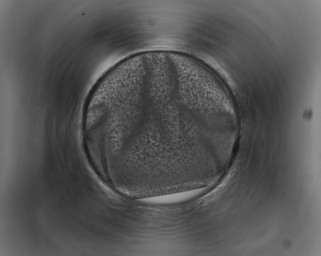 X0000097891469200804041259