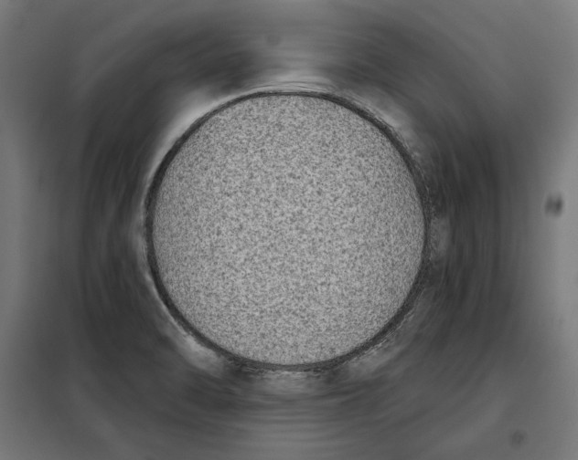 X0000097891470200804041259