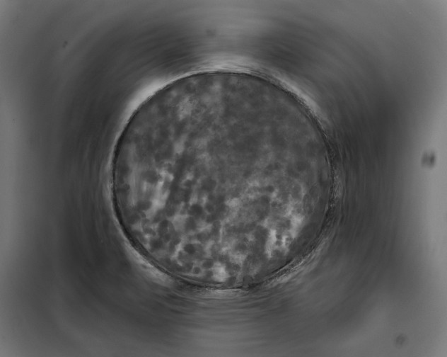 X0000097891471200804041259