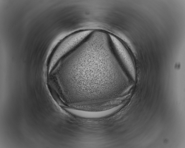 X0000097891472200804041259