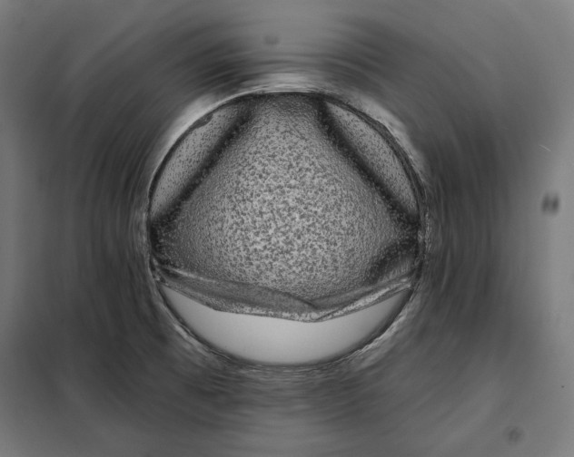 X0000097891473200804041259