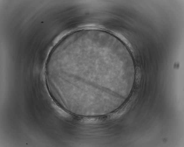 X0000097891474200804041259