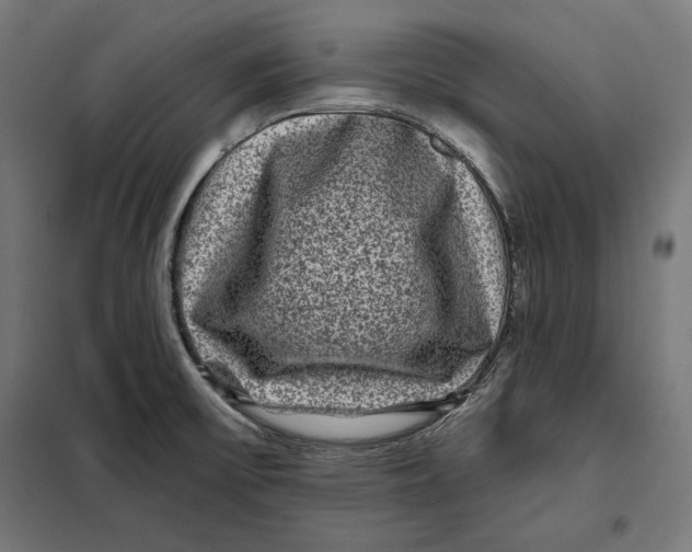 X0000097891475200804041259