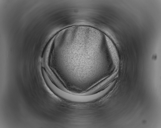 X0000097891476200804041259