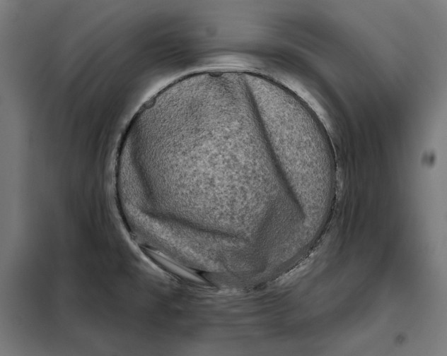 X0000097891477200804041259