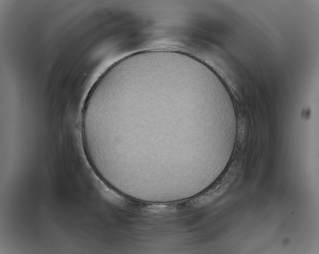 X0000097891478200804041259