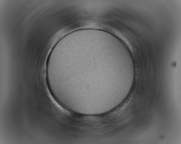 X0000097891479200804041259