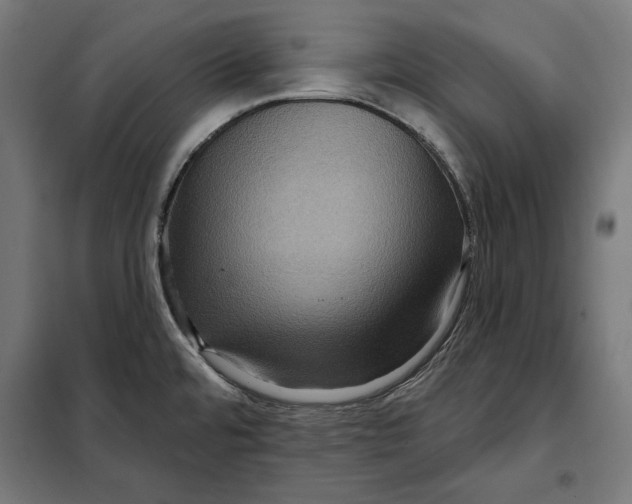 X0000097891480200804041259