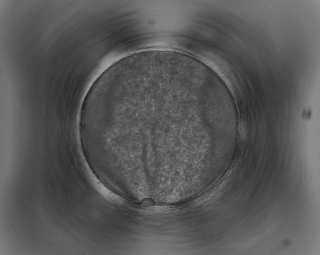 X0000097891482200804041259