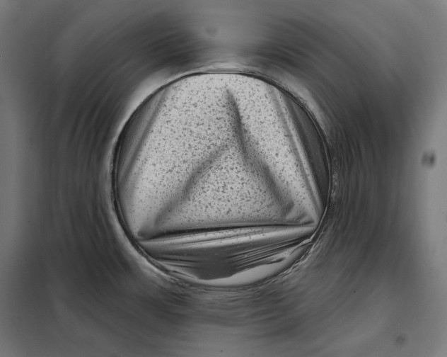 X0000097891483200804041259