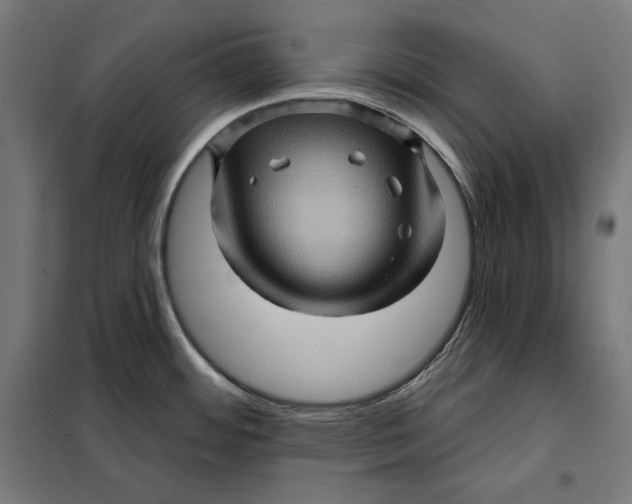 X0000097891484200804041259