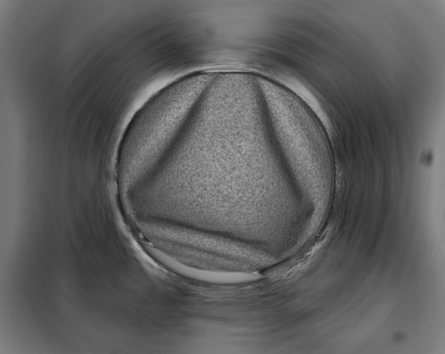 X0000097891485200804041259