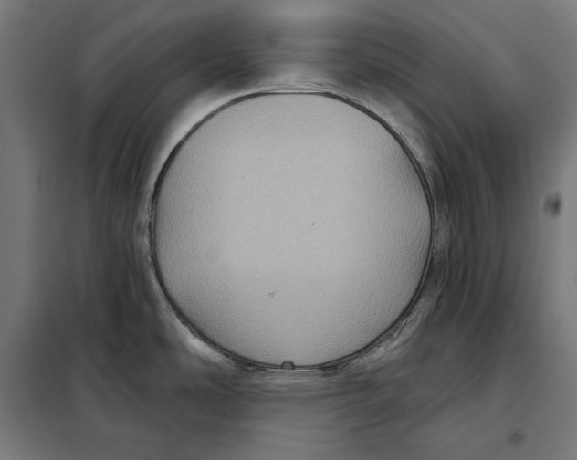 X0000097891486200804041259