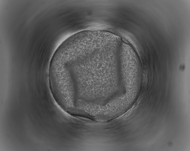 X0000097891487200804041259