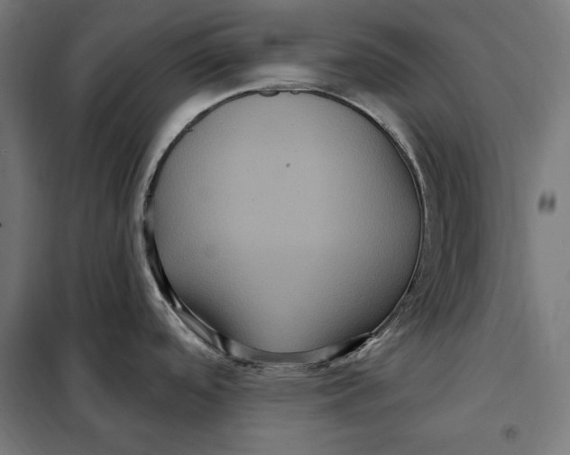 X0000097891488200804041259