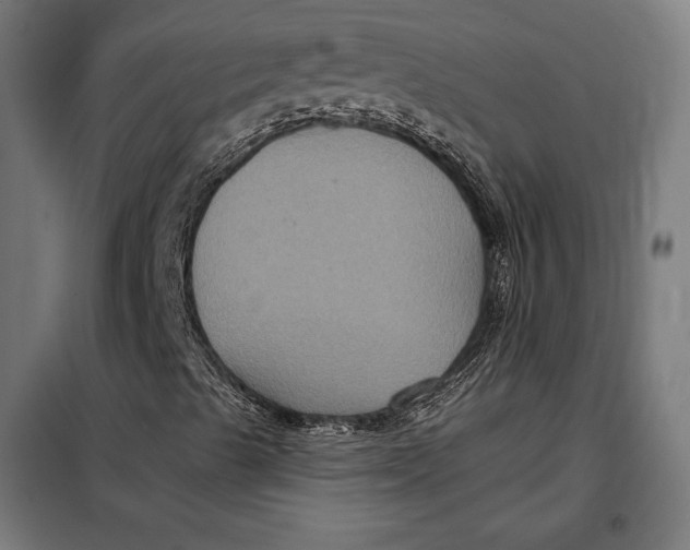 X0000097891489200804041258