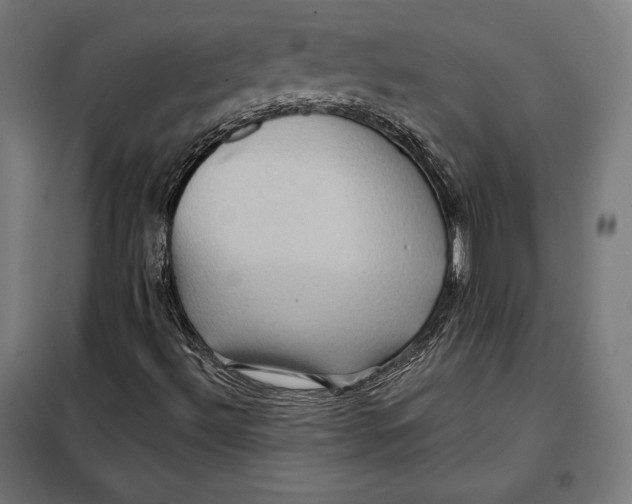 X0000097891492200804041258