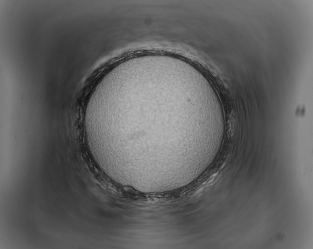 X0000097891494200804041258