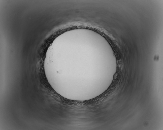 X0000097891495200804041258