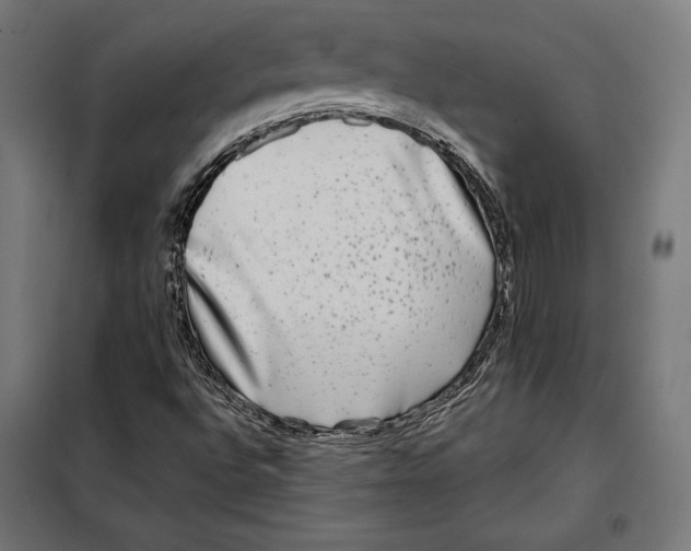 X0000097891496200804041258