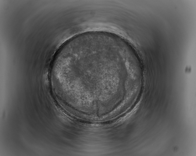 X0000097891497200804041258