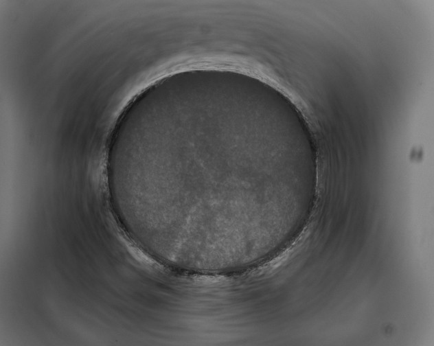 X0000097891498200804041258