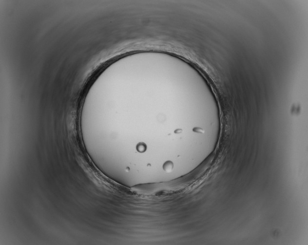 X0000097891499200804041258