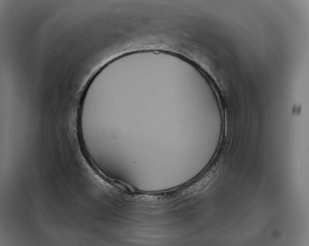 X0000097891500200804041258