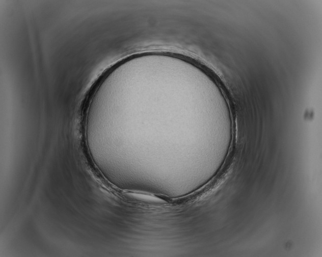 X0000097891501200804041258