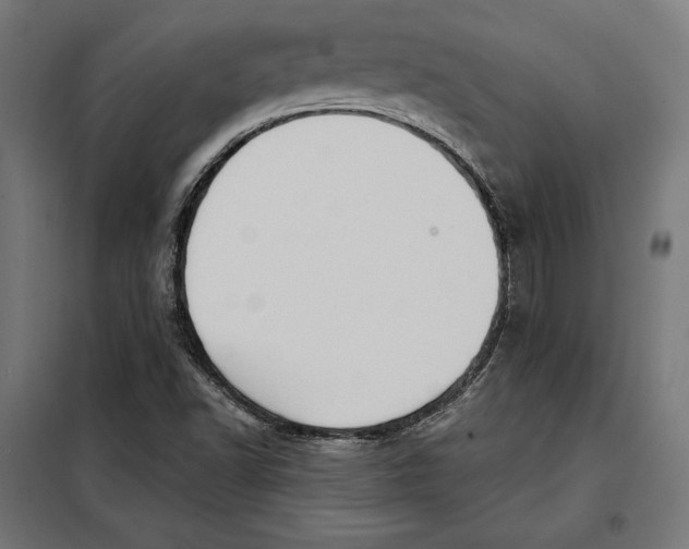 X0000097891502200804041258