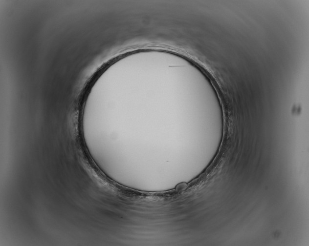 X0000097891503200804041258