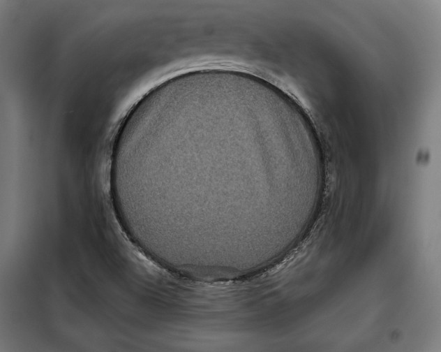 X0000097891504200804041258