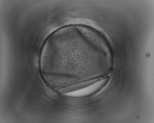 X0000097891505200804041258