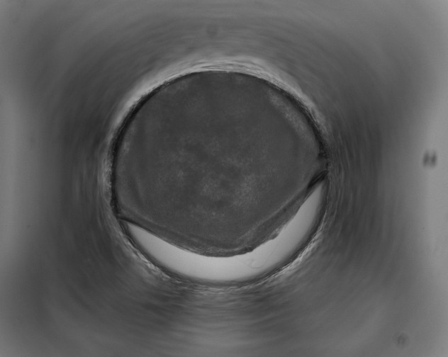 X0000097891506200804041258