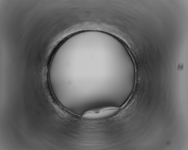 X0000097891507200804041258