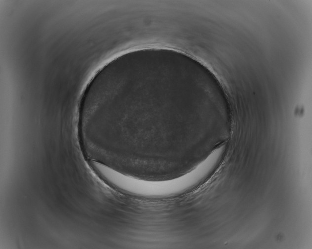 X0000097891508200804041258