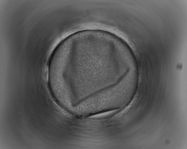 X0000097891509200804041258