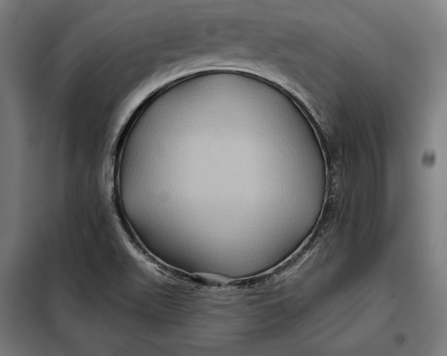 X0000097891511200804041258