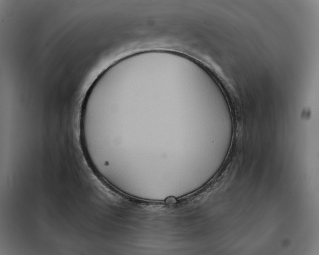 X0000097891512200804041258