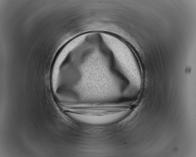 X0000097891513200804041258