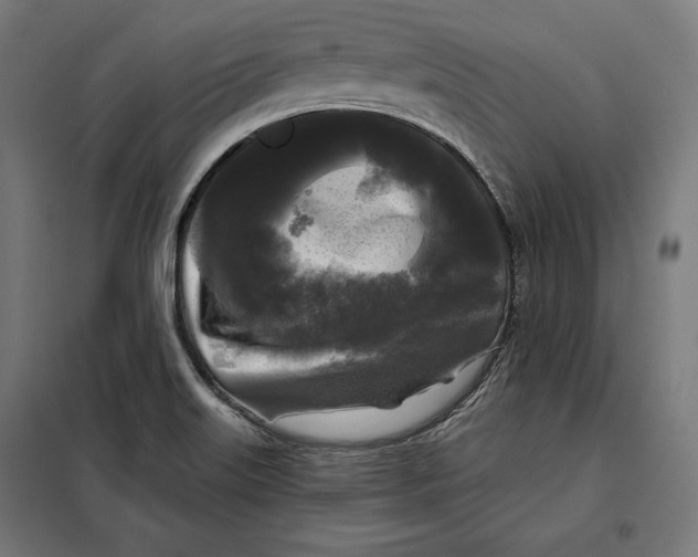 X0000097891515200804041258