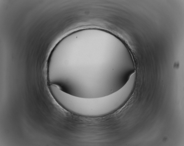 X0000097891516200804041258